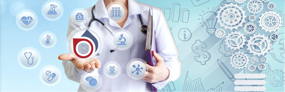 Investigación y Desarrollo